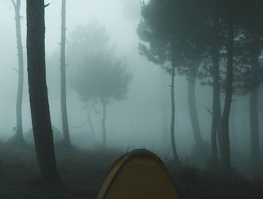 Beckshelter