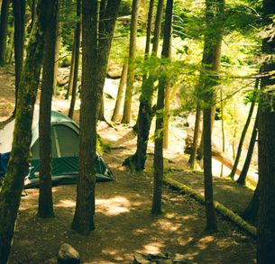 Beckshelter