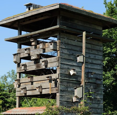 Beckshelter