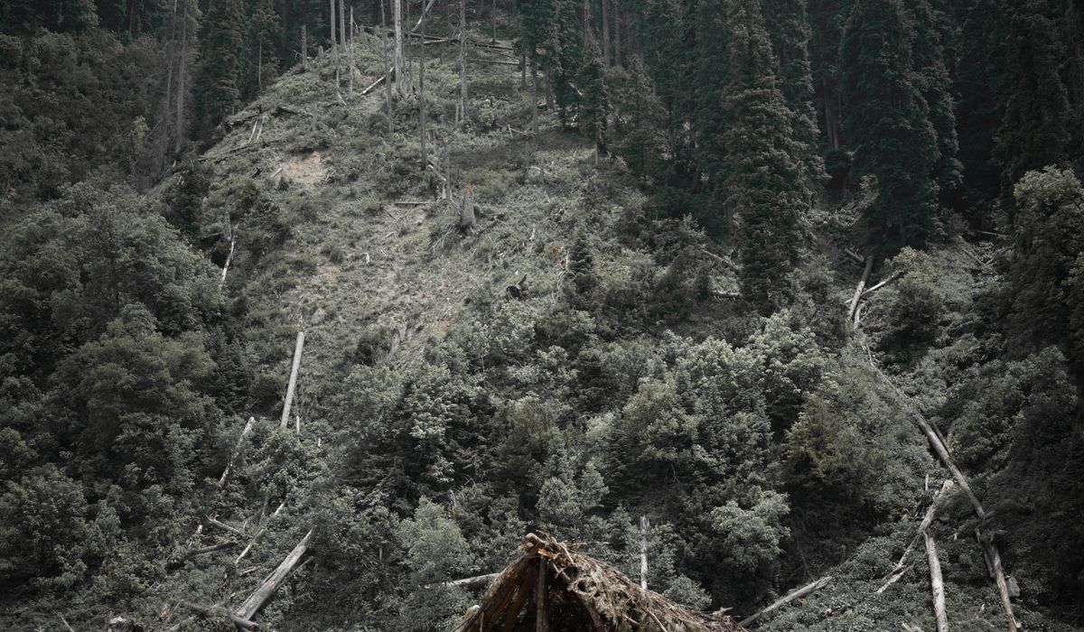 Beckshelter