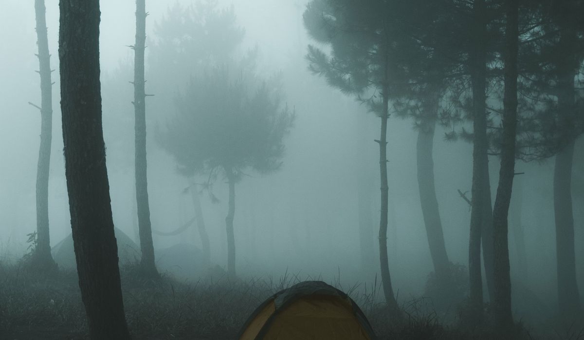 Beckshelter