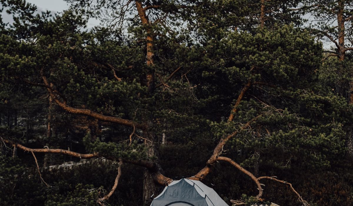Beckshelter