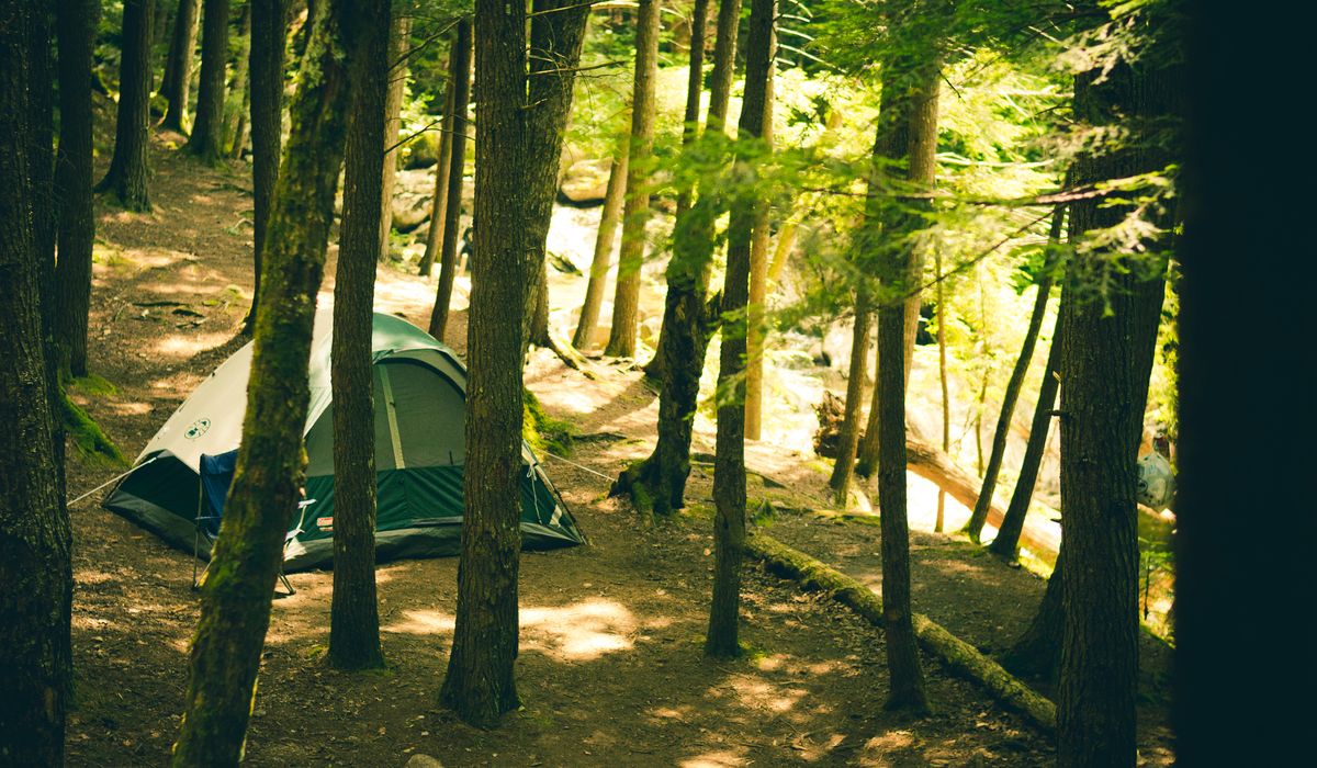Beckshelter