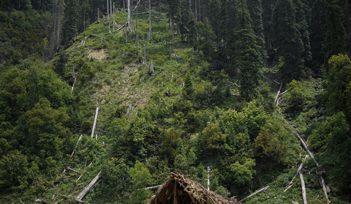 Beckshelter